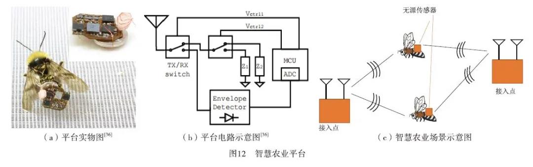 B12