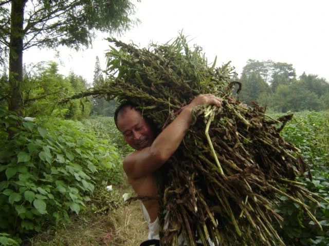 收获的幸福 2004